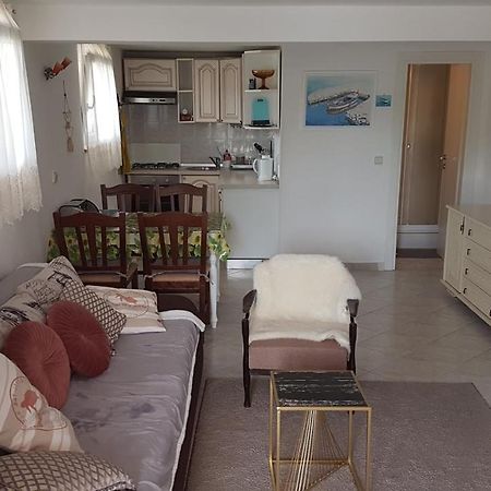 Apartment Branka ลาบิน ภายนอก รูปภาพ